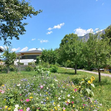 Ferienhaus Raich 판단츠 외부 사진