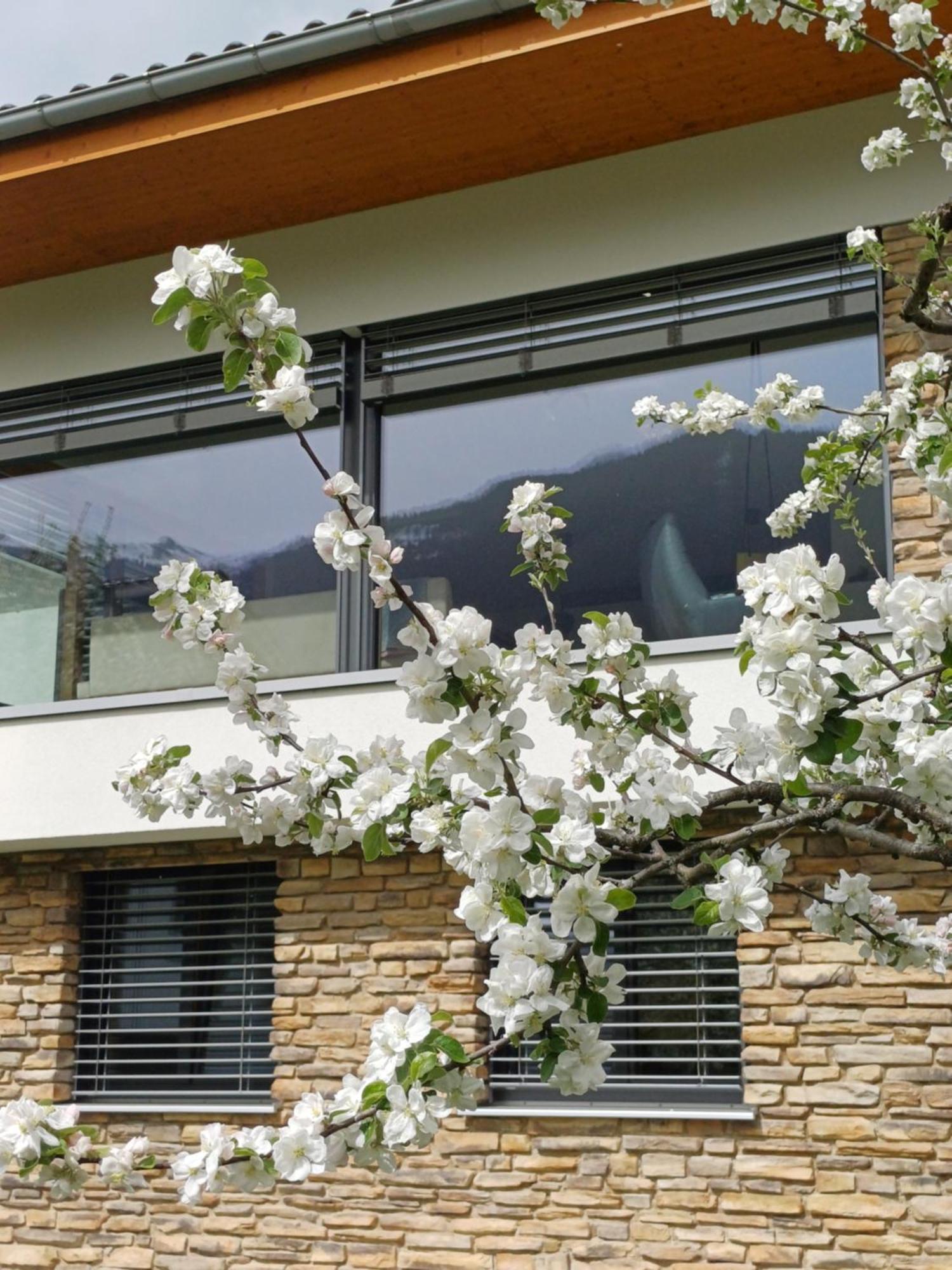 Ferienhaus Raich 판단츠 외부 사진